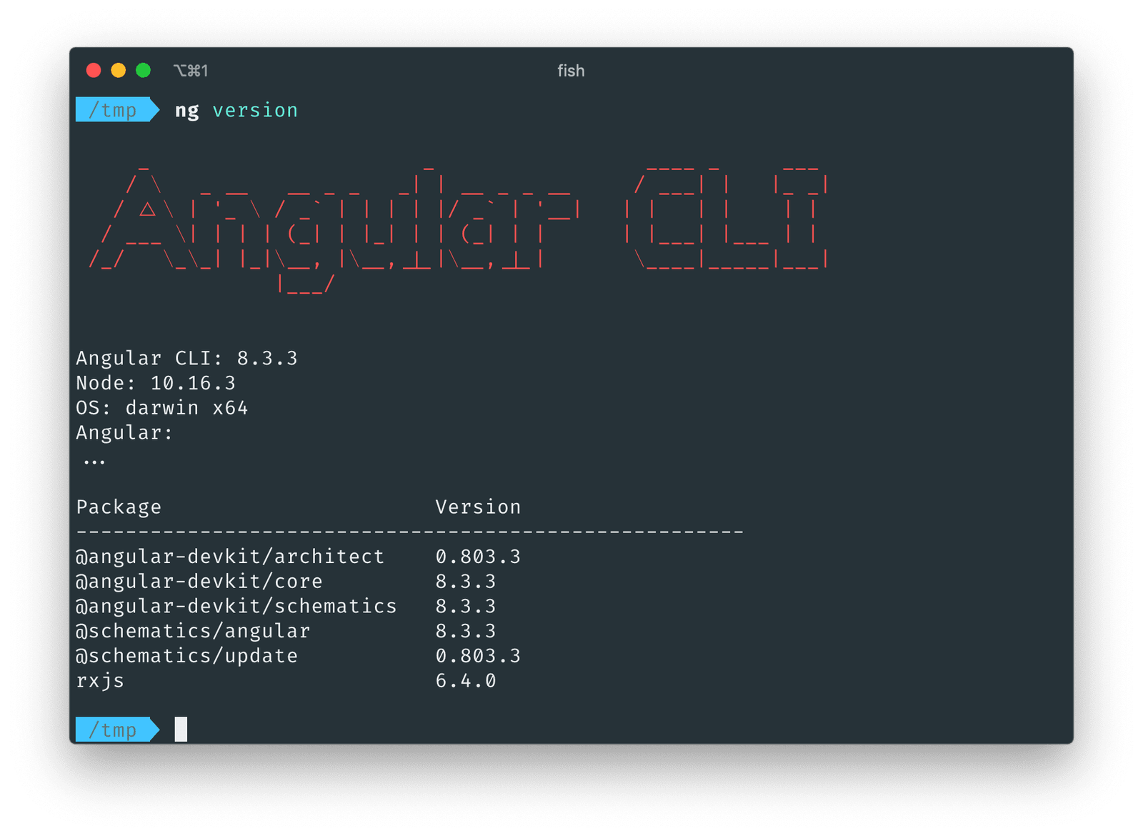 Screenshots of Angular CLI installation